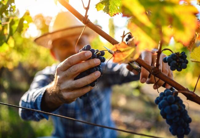 xr:d:DAFf ERupk:,j:,t: