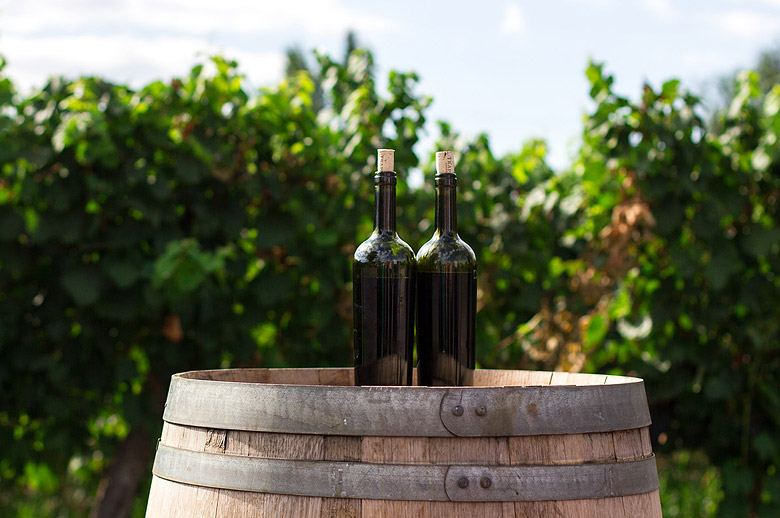 ไวน์ออร์แกนิก ปก