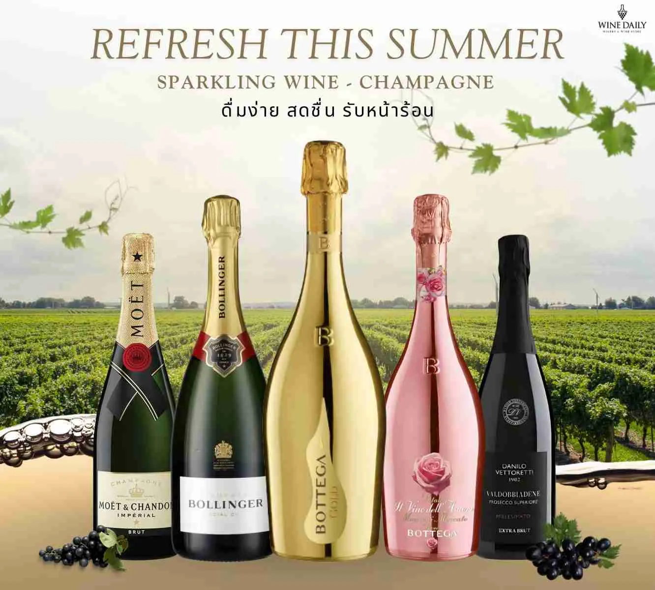 LINE ALBUM Card message wine Daily